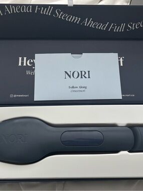 Handheld Steam Iron
